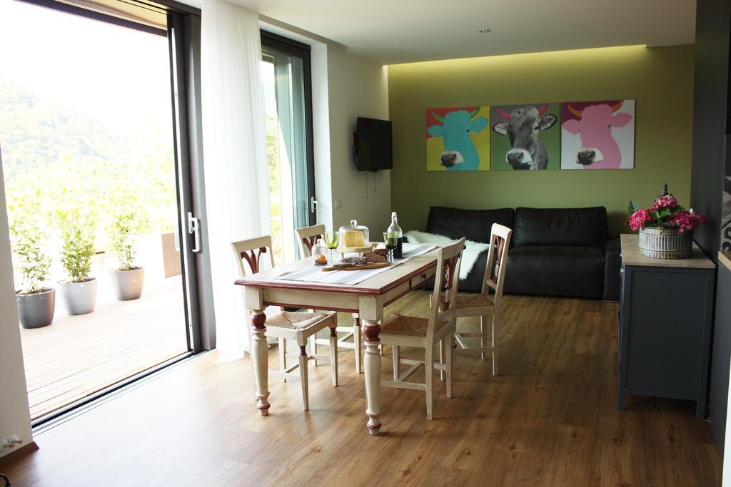 Apartmaji 43 Tolmin