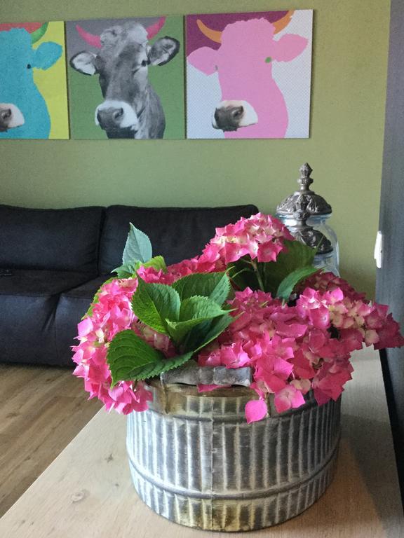 Apartmaji 43 * Tolmin